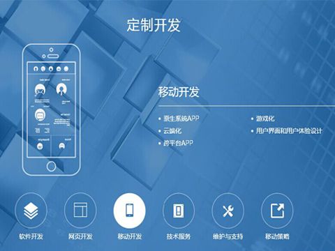 专业小程序定制开发公司