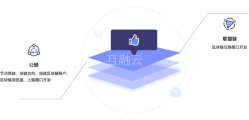 数字藏品系统 一站式数字藏品系统开发,助力产业转型升级新模式