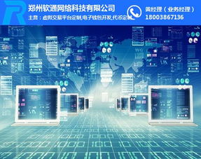 定制现金贷系统 现金贷系统 软通网络 查看