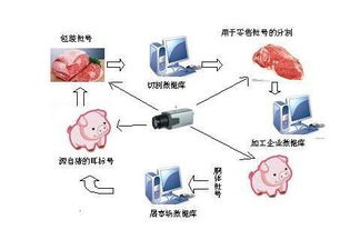 养猪体系全程追溯系统平台定制